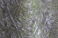 Maidensgrove fibreglass roof work